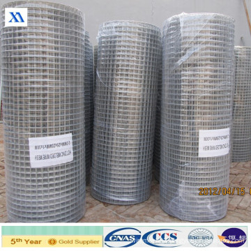 Welded Wire Mesh Aviary Mesh (XA-WWM57)